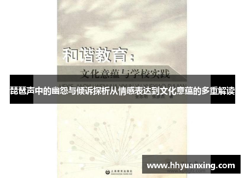 琵琶声中的幽怨与倾诉探析从情感表达到文化意蕴的多重解读