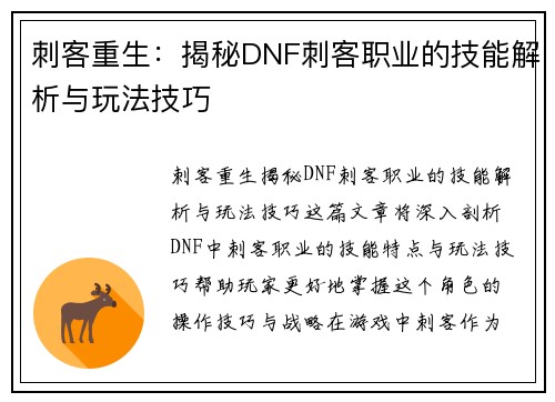刺客重生：揭秘DNF刺客职业的技能解析与玩法技巧