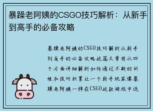 暴躁老阿姨的CSGO技巧解析：从新手到高手的必备攻略